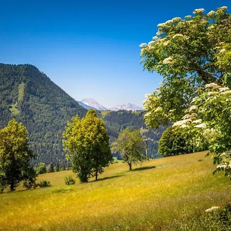 דירה In Near Slopes, Cleaning Included *