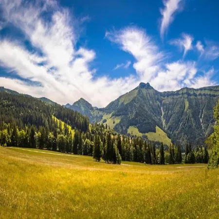 In Near Slopes, Cleaning Included דירה Krispl