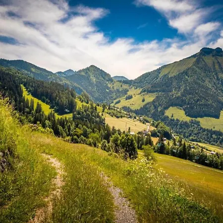 In Near Slopes, Cleaning Included דירה *