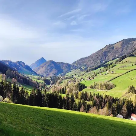 In Near Slopes, Cleaning Included דירה Krispl