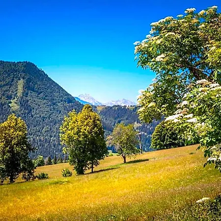In Near Slopes, Cleaning Included Lejlighed *