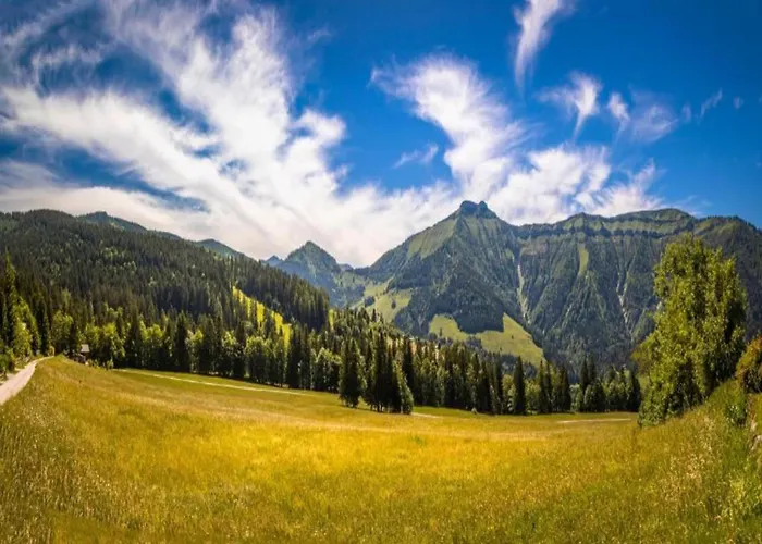 In Near Slopes, Cleaning Included Daire Krispl