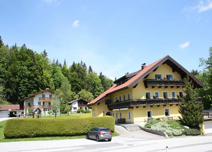 In Near Slopes, Cleaning Included