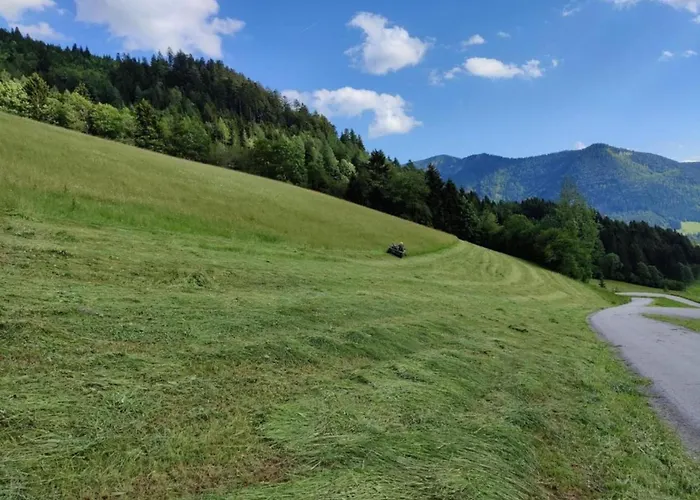 In Near Slopes, Cleaning Included Daire Krispl